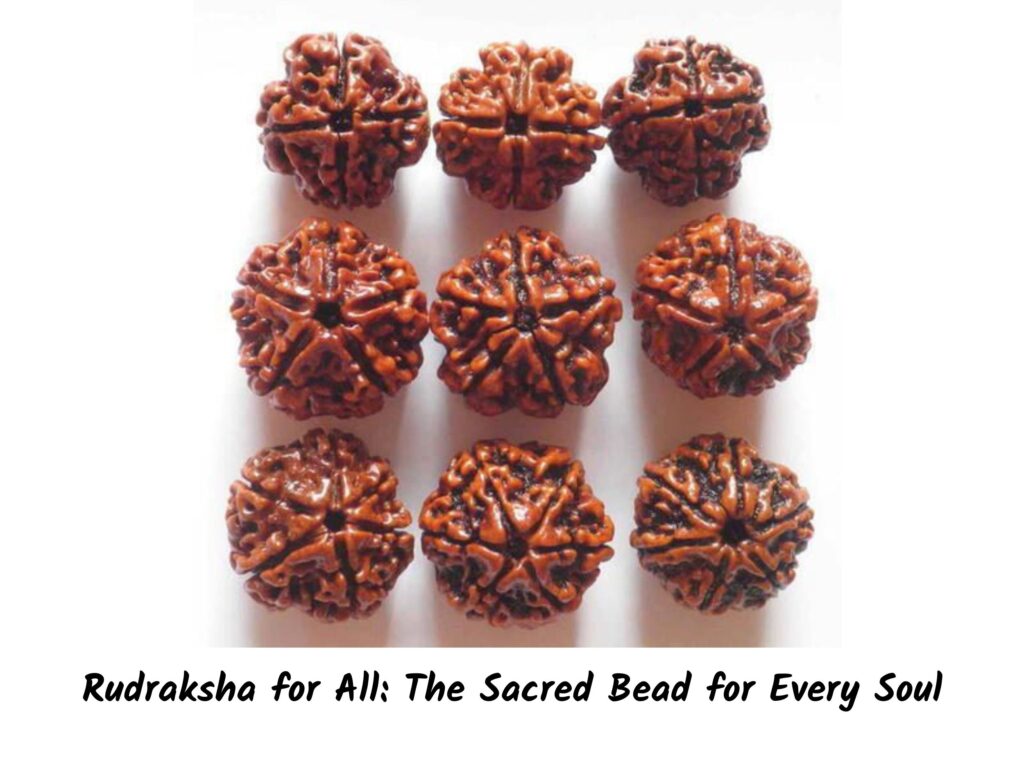 rudraksha eng web