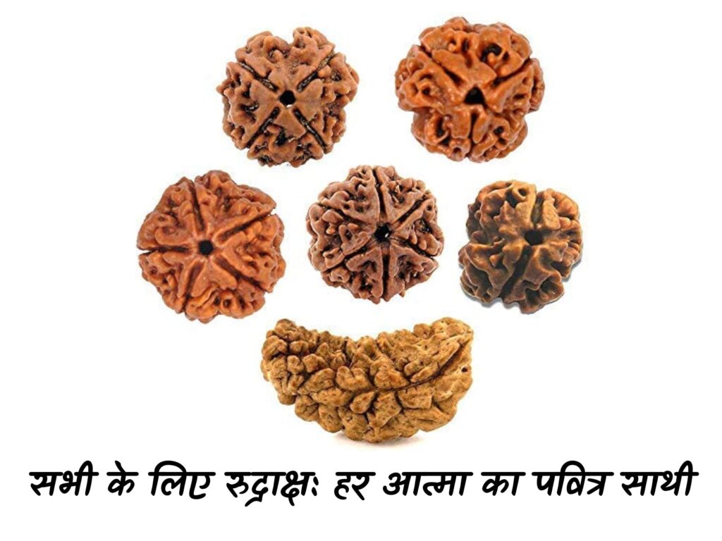 rudraksha for all